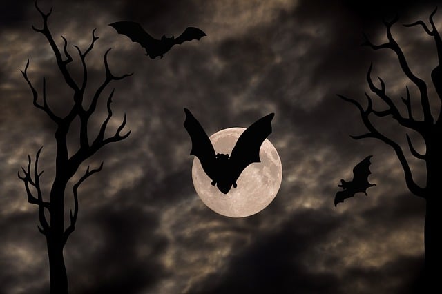 halloween-bat