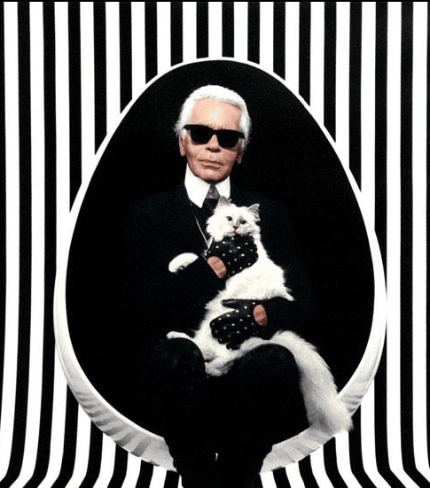 Choupette Lagerfeld ou la vie fashion d’un chat