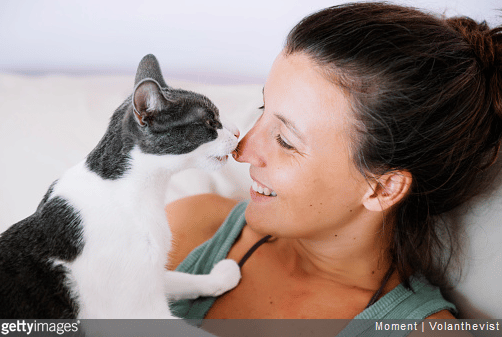 5 bonnes raisons de faire stériliser son chat