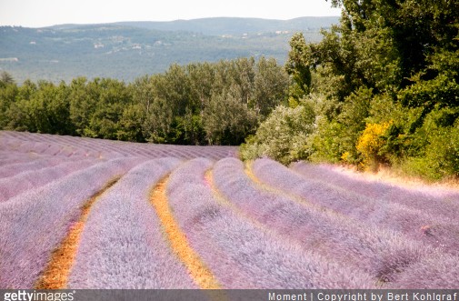 Cet été, direction la Provence