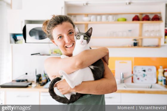 7-conseils-santé-soigner-chat-alimentation-veterinaire