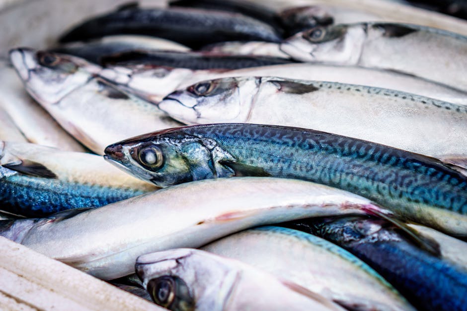 Combien de kilos de poisson sont consommés en France ?